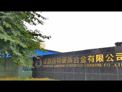 La nostra azienda è il produttore professionale di tutti i tipi di inserti di carburo dal 2007.